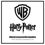 Harry Potter Nimbus 2000 Poster