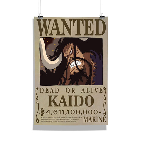 One Piece Poster