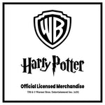 Harry Potter Set of 5 Flag Banner