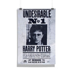 Harry Potter - Undesirable No.1 Design Wall Poster