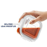Premium Lunch Box - Microwave, Dishwasher & Freezer Safe | Set of 2 containers | 320 ML Each