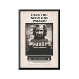 Harry Potter - Prisoner Sirius Azkaban Design Wall Poster