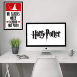 Harry Potter Wizard Wall Poster