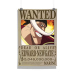 One PIece Poster
