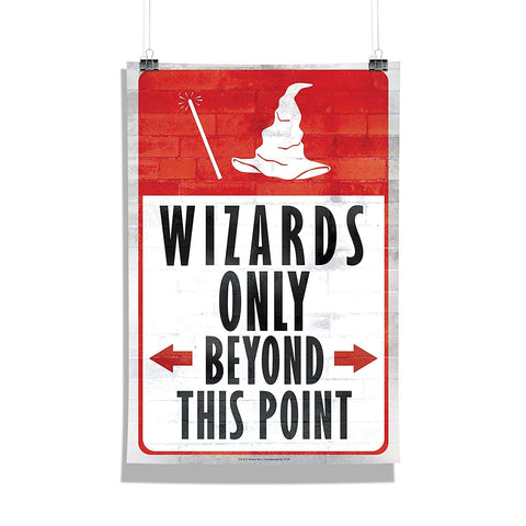Harry Potter Wizard Wall Poster