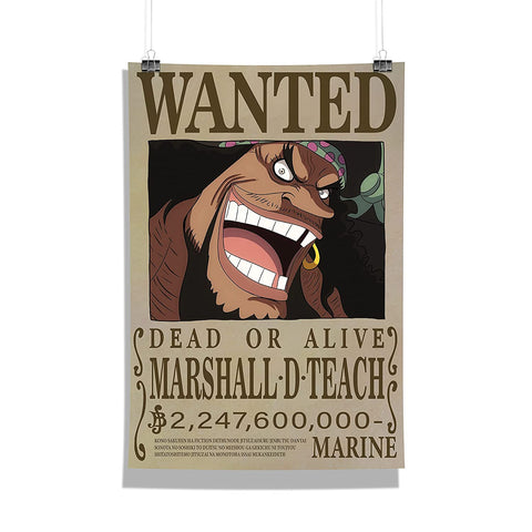 One Piece Poster