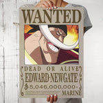One Piece Poster