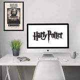 Harry Potter - Prisoner Sirius Azkaban Design Wall Poster