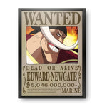 One Piece Poster