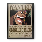 One Piece Poster