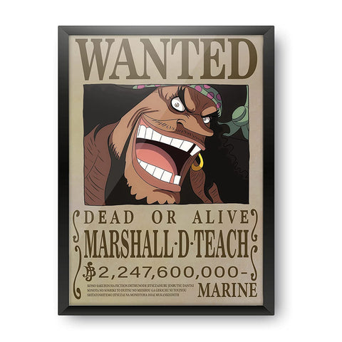 One Piece Poster