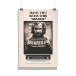 Harry Potter - Prisoner Sirius Azkaban Design Wall Poster