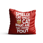 Friends TV Series Smelly Cat Satin Cushion Cover