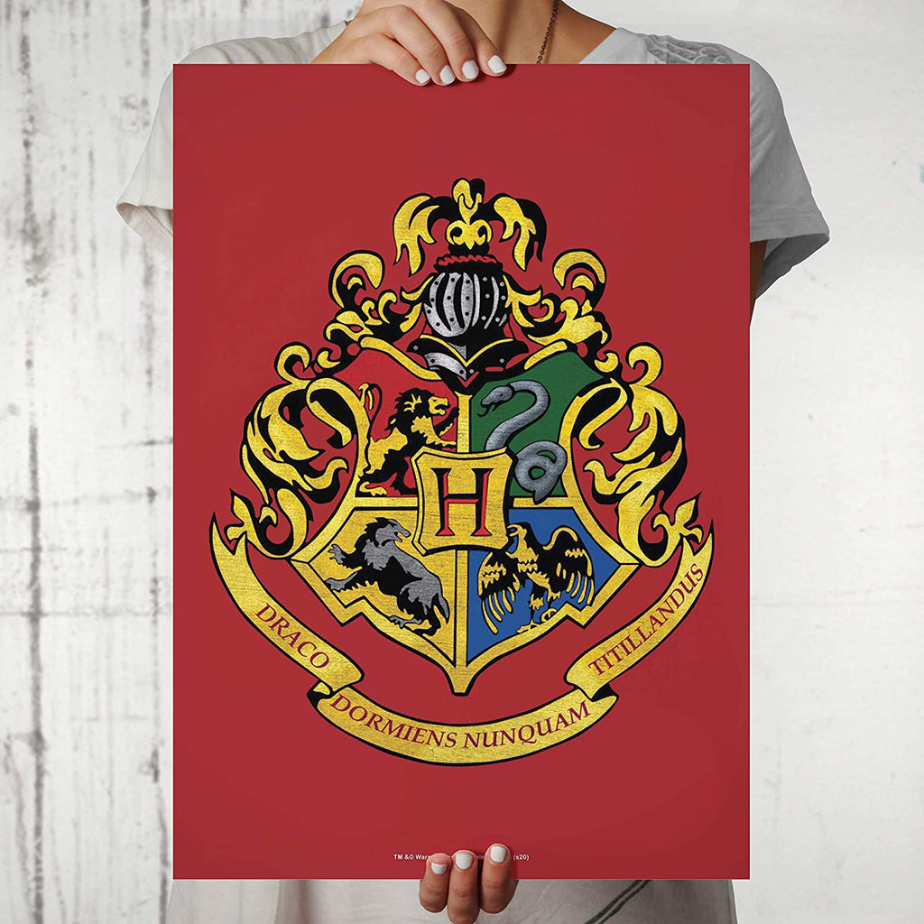 Poster Harry Potter - House Flags | Wall Art, Gifts & Merchandise 