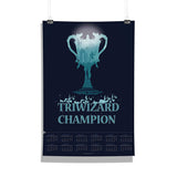 Harry Potter Triwizard Poster