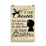 Harry Potter Its Your choice Poster